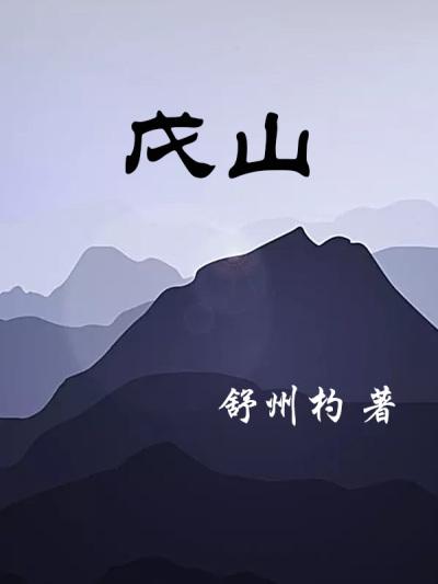 戊山辰向九运星盘