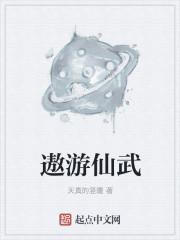 遨游仙武怎么样