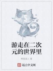 游走在二次元的世界里是什么歌