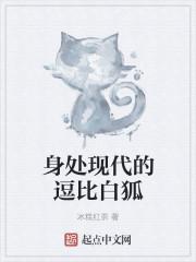 身处现代的逗比白狐是什么