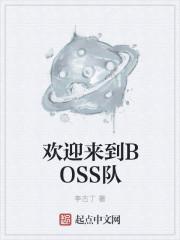 欢迎来到BOSS队 笔趣阁在线