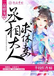 丞相大人求休妻 半枝红杏 古代言情·96万字