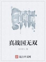 战国无双3Z特别版