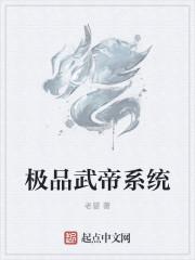 武帝系统