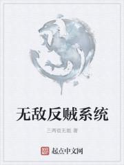 反贼系统流