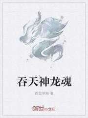 吞天神龙魂中等级有什么