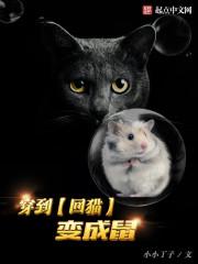 穿越回到过去变成猫