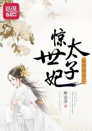 锦绣婚宠之惊世太子妃txt