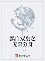 黑白无双系统