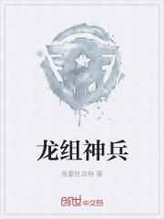 龙组神兵 txt