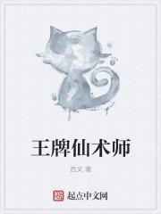 仙术师带什么元神