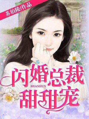 闪婚总裁甜甜妻