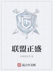 大盛联盟是什么公司