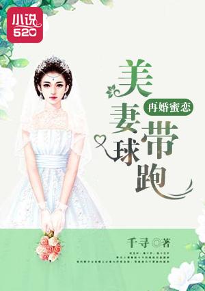 二婚蜜妻撞上来