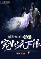 倾世仙妃魔君宠妃无下限