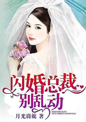 闪婚总裁别乱来