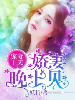 宠妻上天娇妻晚上见epub