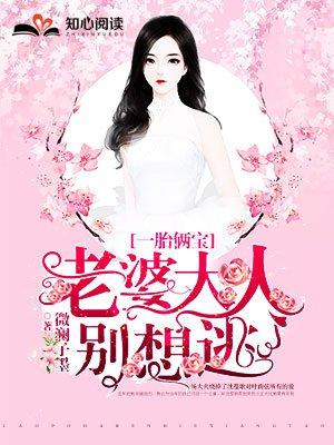 一胎俩宝老婆大人别想逃免费阅读大结局