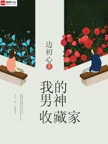 我的男神收藏家在线观看