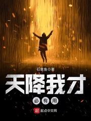 天降我才必有用epub