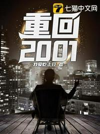 重回2001之我的传奇人生李小山