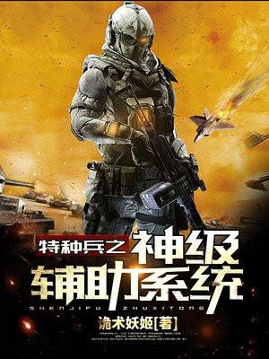 特种兵神级辅助txt