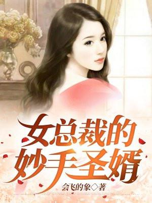 女总裁的妙手圣婿全文阅读