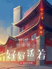 四合院之好好活着TXT精校版