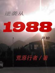 逆袭1988 拾寒阶 著