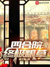 四合院终极粮草TXT 读一读