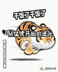 从猛虎开始的进化TXT百度