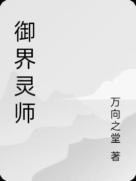 关于界灵师的