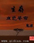 血色苍穹9