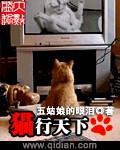 猫行天下观后感