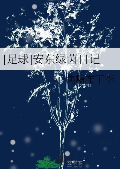 足球安东绿茵日记txt免费