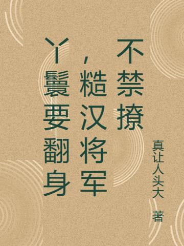 丫鬟嫁给将军