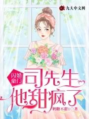 闪婚后豪门傅先生1-100集免费