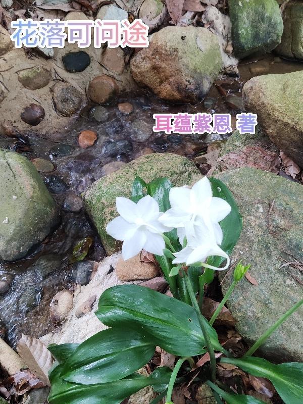 花落道途