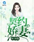 叶少的奇爱婚妻