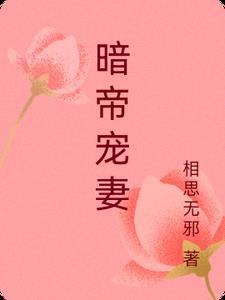 暗帝宠妻无度