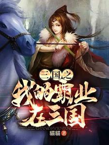 三国霸业系统txt