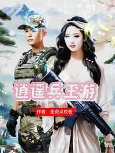 兵王沈浪无广告