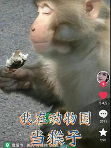 变成猴子的王子