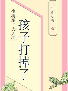 少将军夫人把孩子打掉了