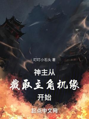 神主从截取主角机缘开始 叮叮小石头