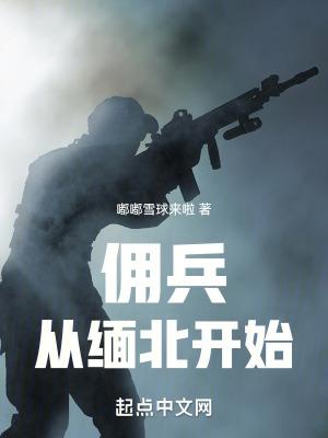 我在缅北当佣兵TXT免费