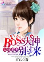 天价追妻boss大神别过来