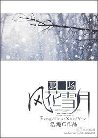 歌曲那一场风花雪月的事要表达的感情