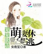 暖婚蜜爱盛宠小甜妻收养