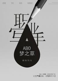 职业写手abo